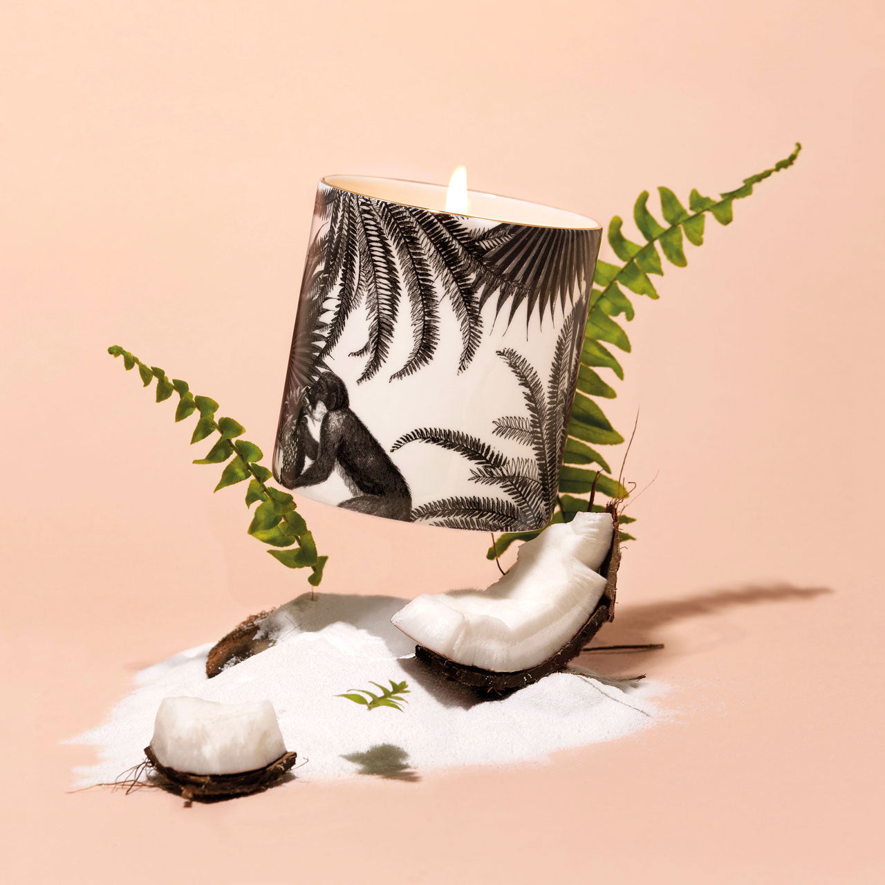 The Tropical Paradise Collection