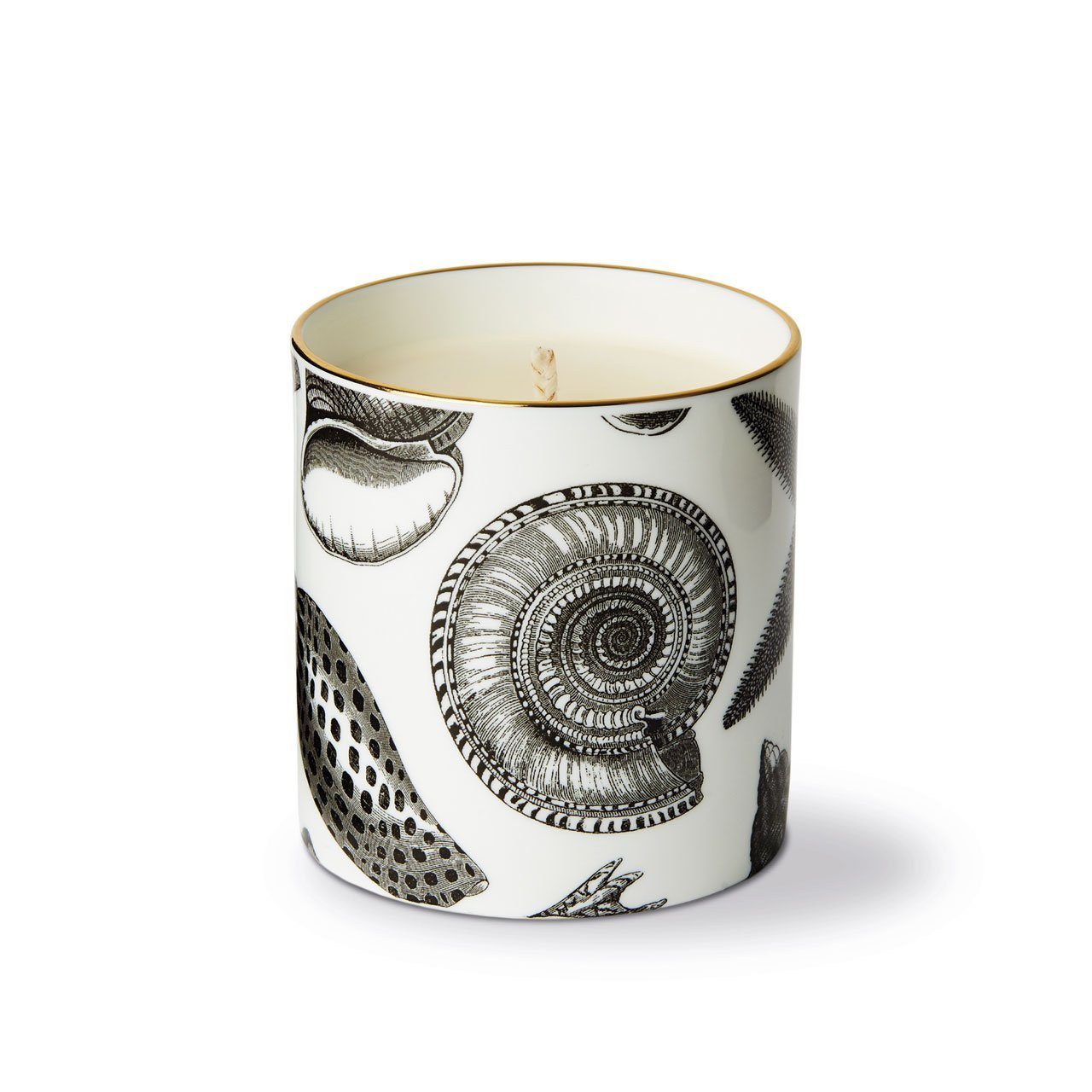 The Seashore Ceramic Candle - Chase and Wonder - Proudly Made in Britain