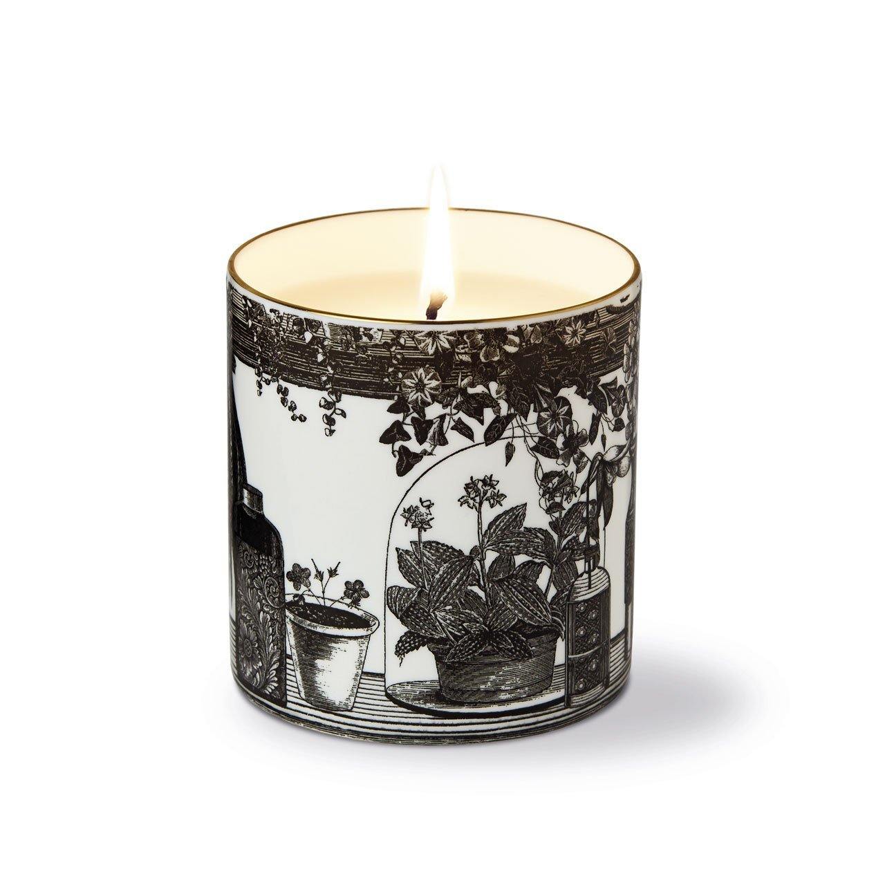 The Botanist Ceramic Candle - Chase and Wonder - Proudly Made in Britain