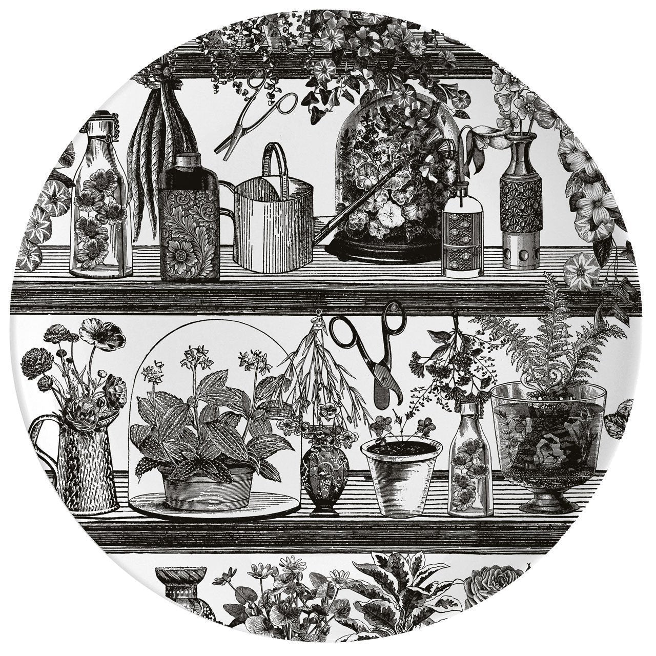 Botanist Fine China 10" Plate - Chase and Wonder - Proudly Made in Britain