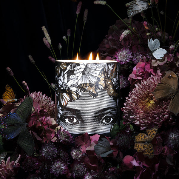 The Butterfly Lady