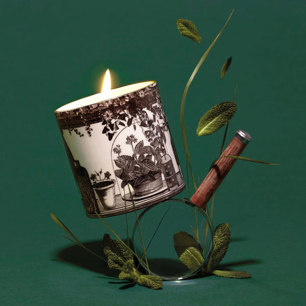 The Botanist Ceramic Candle