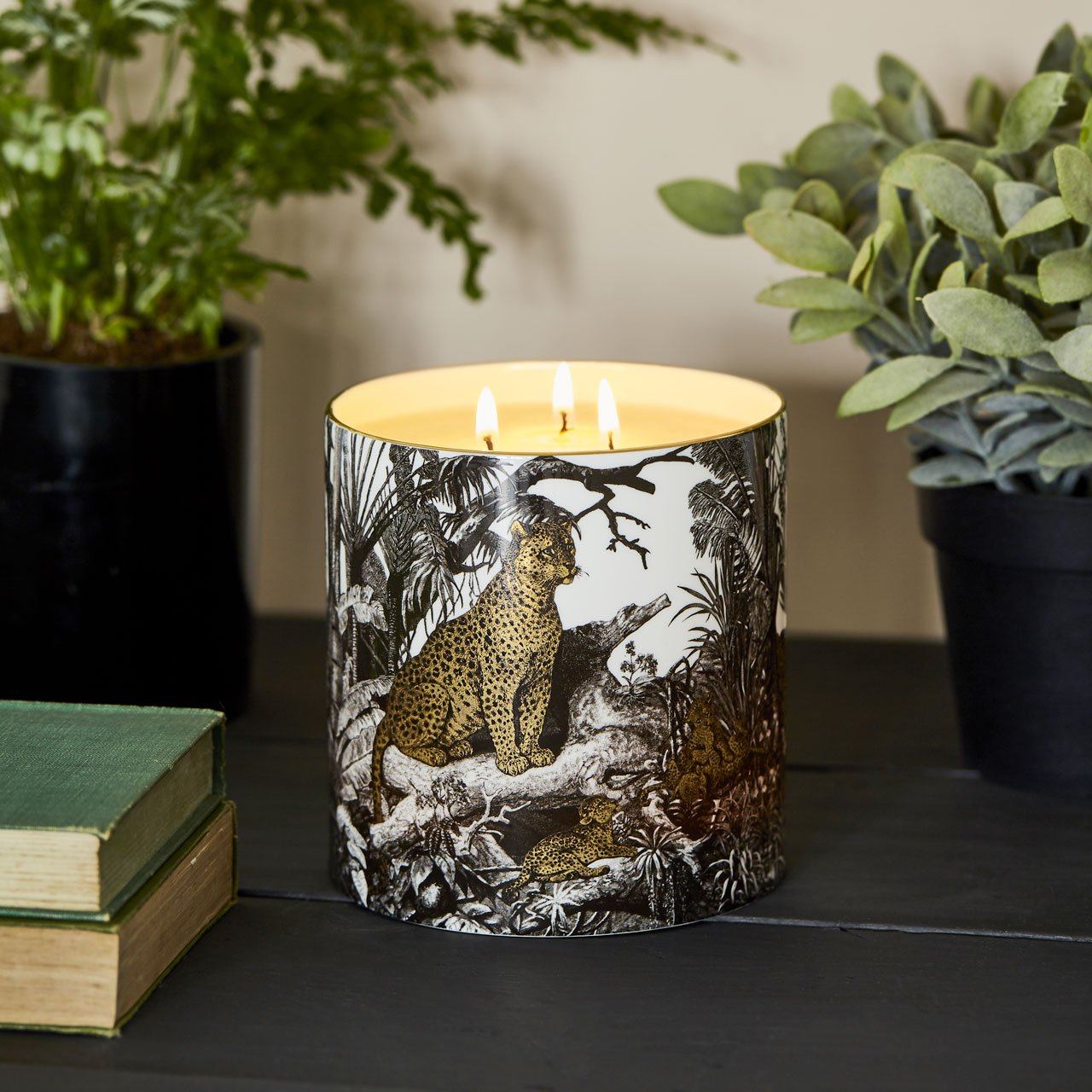 The Jungle 3 Wick Scented Ceramic Candle - Chase and Wonder - Proudly Made in Britain