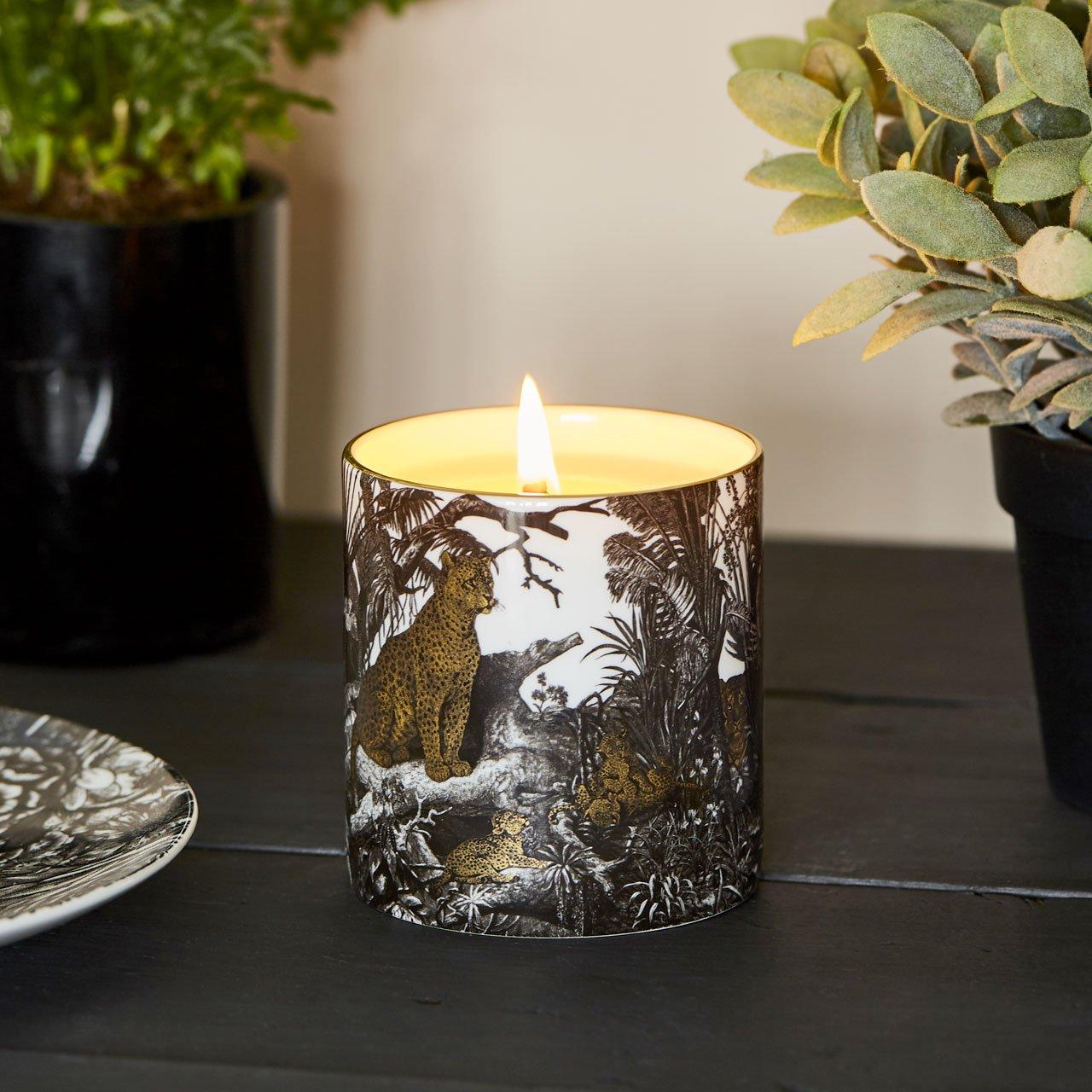 The Jungle Luxury Scented Ceramic Candle - Chase and Wonder - Proudly Made in Britain