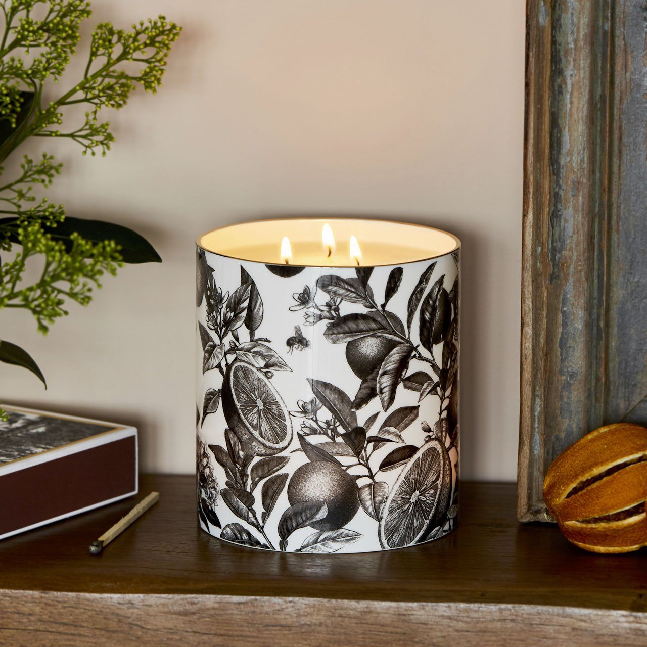 The Orangery 3 Wick Scented Ceramic Candle - Chase and Wonder - Proudly Made in Britain