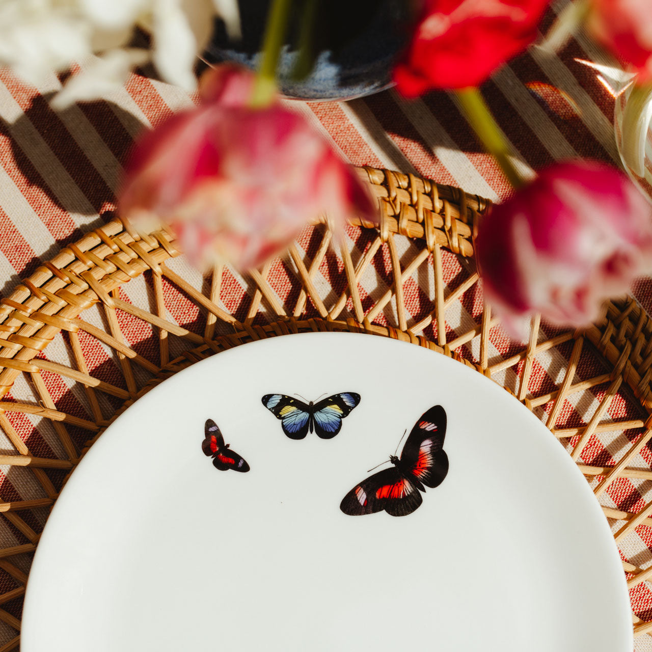 Butterflies 8" Fine China Plate - Set of 4