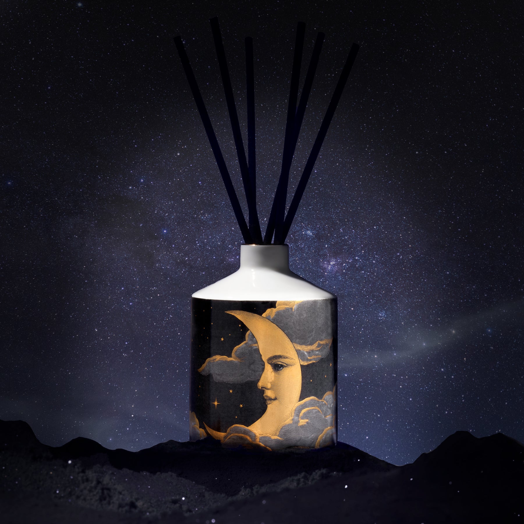 The Land of Nod Ceramic Reed Diffuser