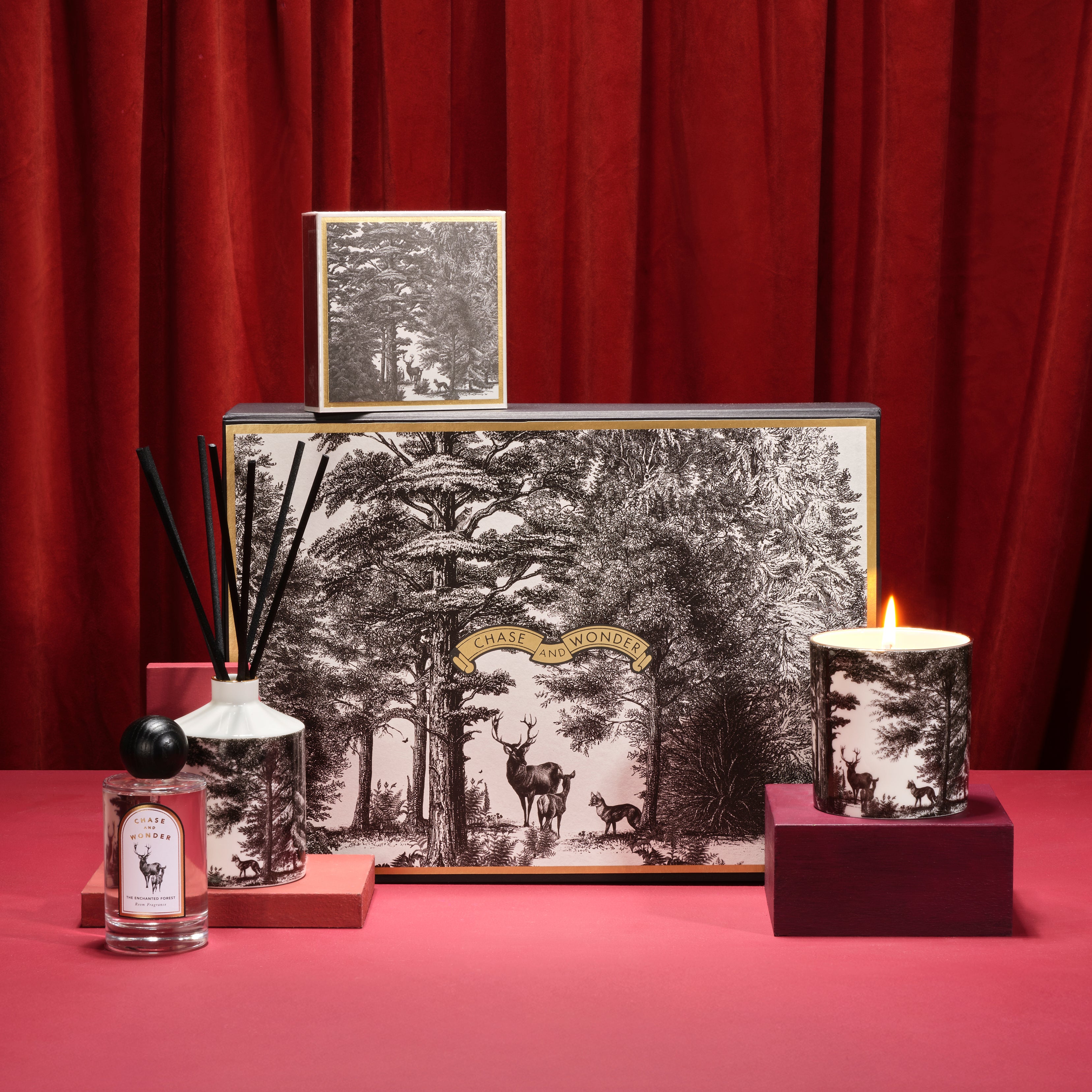 For the Explorers: The Enchanted Forest Gift Set