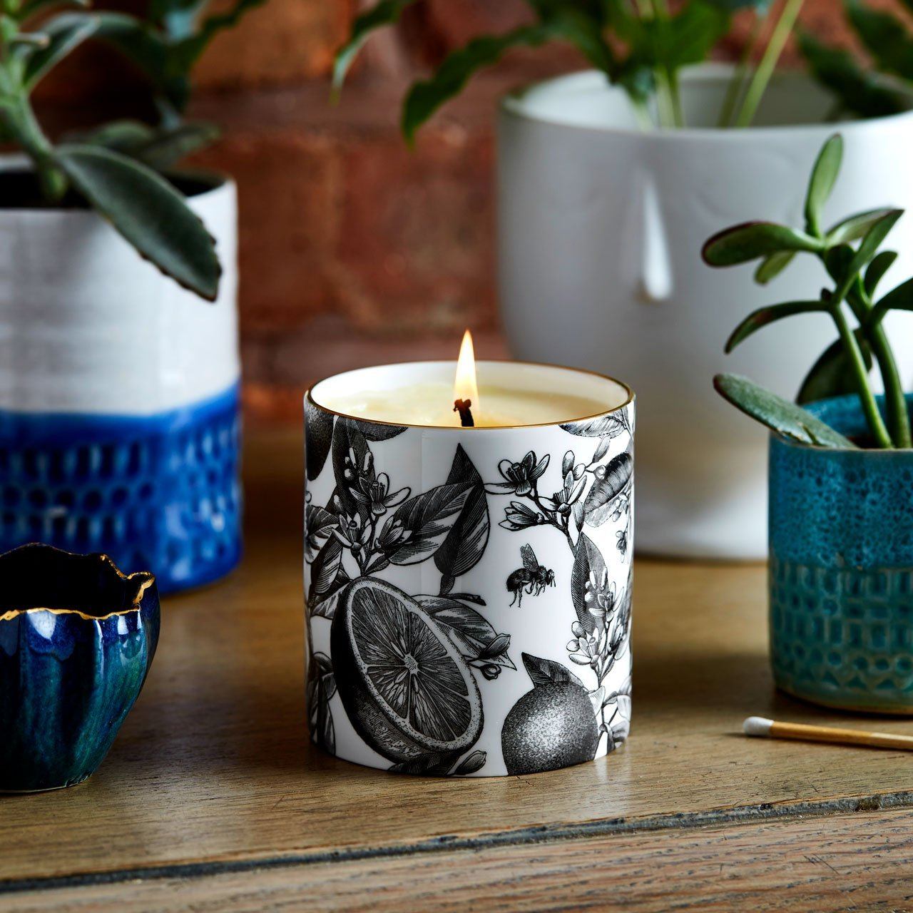 The Orangery Ceramic Candle - Chase and Wonder - Proudly Made in Britain