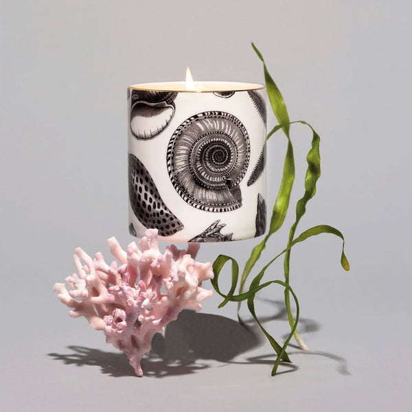The Seashore Ceramic Candle