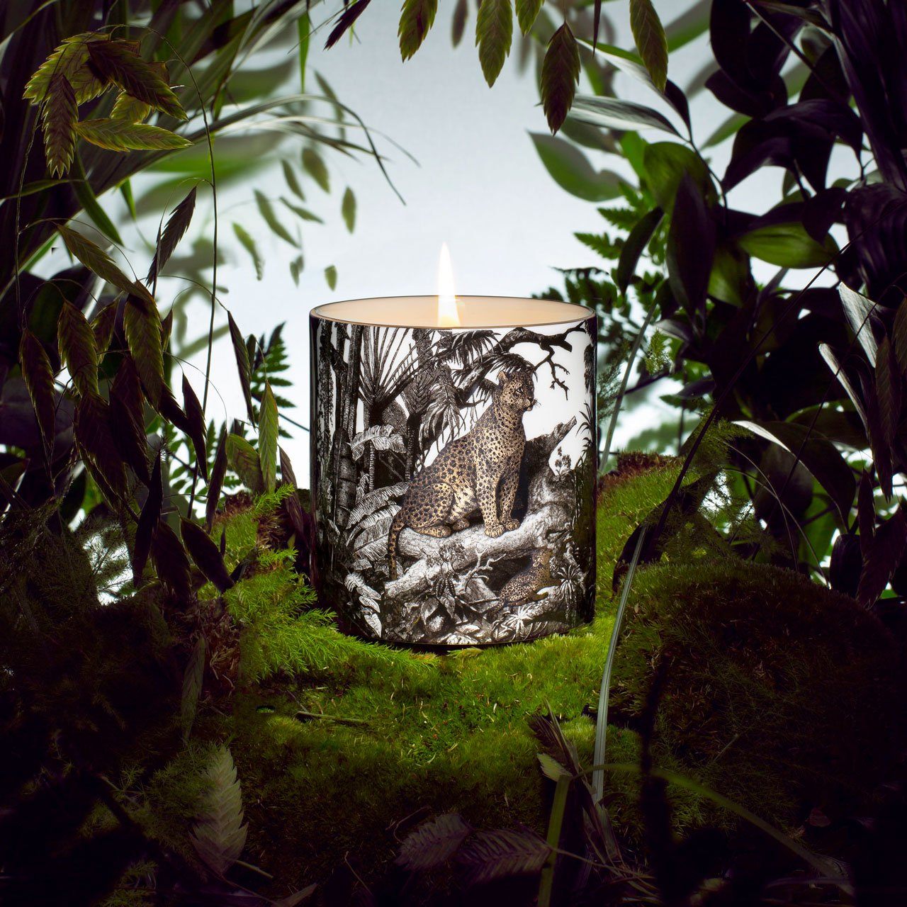 The Jungle Luxury Scented Ceramic Candle - Chase and Wonder - Proudly Made in Britain