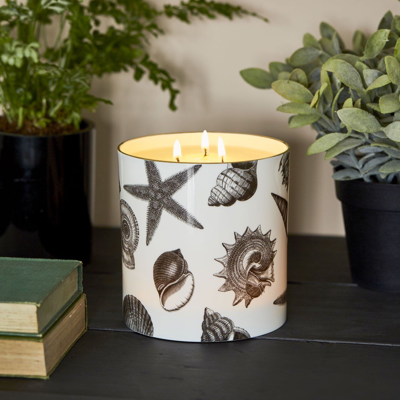 The Seashore 3 Wick Scented Ceramic Candle - Chase and Wonder - Proudly Made in Britain